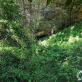 The entrance to the cave is located under a cliff. 