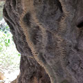 Decorations inside the cave. 