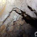 During a visit to the cave in 2019 a couple of cave crickets were spotted.                                                                         