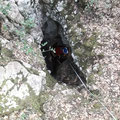 Descending the vertical cave. 