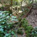 The dried up gorge on the Valanio side of the cave. 