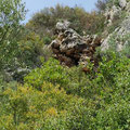 Entrance to the Kameni Grava cave. 