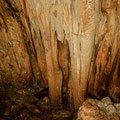 Stalactites and stalagmites in the main room of the cave.