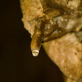 Stalactites hanging from the ceiling. Almost all of them with drops of water.