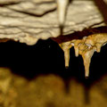  The first stalactites you encounter.