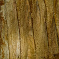 Decorations inside the cave.