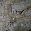 Wall decorations of stalactites.