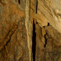 As soon as you have passed the passage you will see this beautiful stalactite of about 50 centimetres in the main room.