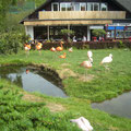 Tierpark Gettorf