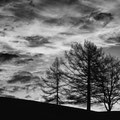 1. Platz Ulrike Emschermann: Wolken