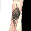 Sketchy Black and Grey Fische Yin Yang © Farb Fleck Tattoo OG Tattoostudio Linz