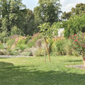 Fernsicht auf den Blüten-Gräser-Rahmen Sept2025