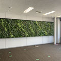 斜めラインを 大型フェイクグリーン 壁面緑化 ウォールグリーン ネイチャーデザイン 仙台 fakegreen wallgreening  artificialplant madeinjapan