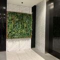 エントランス壁にフェイクグリーンの壁面緑化、ウォールグリーン ネイチャーデザイン 仙台 　fakegreen　wallgreening　artificialplant　office