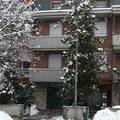 affittacamere La Bertola - Villa magnolia in inverno