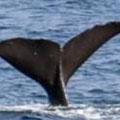 A002_20200122_oki.jpg