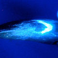 A004_20210712_OKI_P7120044 - 2021-07-12 09-31-18 (1).jpg