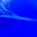 A013_20230723_OKI_20230723-P7230298