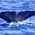 A019_20240907_OTA_LINE_ALBUM_20230907 1420_240925_1