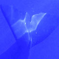 A014_20230722_OKI_20230722-P7220238