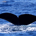 A029_20240907_OTA_LINE_ALBUM_20240907 1240_240925_1.jpg