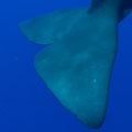 A049_20250830_OKI_欠け美_8300555