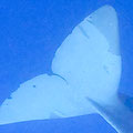 A003_20220525a