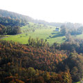 Born Kappel