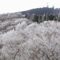 樹氷（12月）