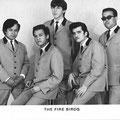 THE FIREBIRDS