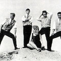 THE DARTS vlnr: Hans Bakker - Hans Tonkes - Marga van Eldik - Wim Roland - Erik van Eldik