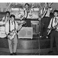 THE ROCKING SHADOWS