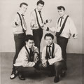 THE ROCKING SHADOWS