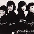 THE WHITE WAVES