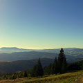 ein Blick zum Masenberg, Wildwiese