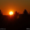 25.02.2020 - Ein Sonnenaufgang zum Zunge schnalzen und das am Faschingsdienstag, perfekt