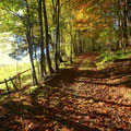 ....schöne Herbstlandschaft