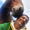 Estágio, oficina, workshop de Constelaçao com cavalos em Brasília-DF-Brasil- Cédric