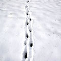 p.ordonneau. 2013. paris sous neigE.2