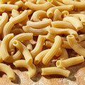 Maccheroncini
