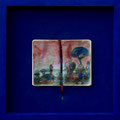 Découvrez le Jardin de Palerme 8 Pigmenti e lacche su moleskine 36 x 36 x 4 cm.   2011