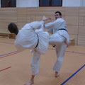 Training Dresden 2012 Kojin Karate Do