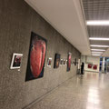 Teilen Sie Ihre Ausstellungserlebnisse