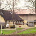 Blick vom Reitplatz auf die Paddocks im Innenhof und die Reithalle