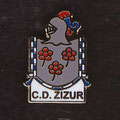 C. D. Zizur ( Zizur Mayor )
