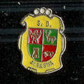 ( C01 / A18 ) S. D. Alsasua ( Alsasua )