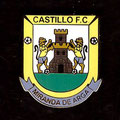 Castillo C. F. ( Miranda de Arga )