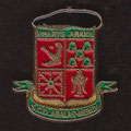 S. C. D. Aralar Mendi ( Huarte Araquil )