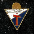 ( C01 / I01 ) C. D. Falcesino ( Falces )