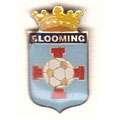 Club Blooming ( Santa cruz de la Sierra )